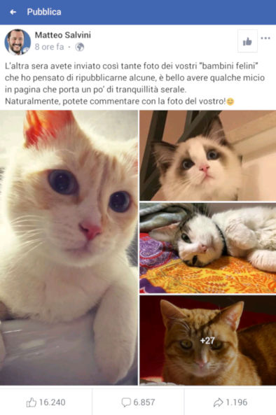 Tra “Non posso, stasera c’è la Champions” e la raccolta di Gattini sulla sua pagina fb, Salvini si dimostra l’infaticabile politico che tutti noi abbiamo sempre conosciuto.